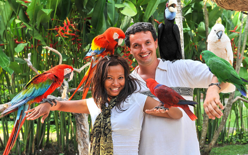 Bali Zoo