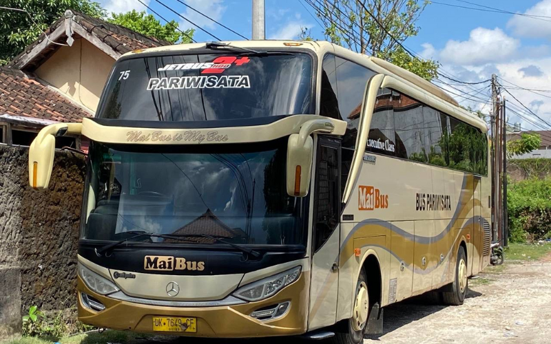 Bus 41 Seat