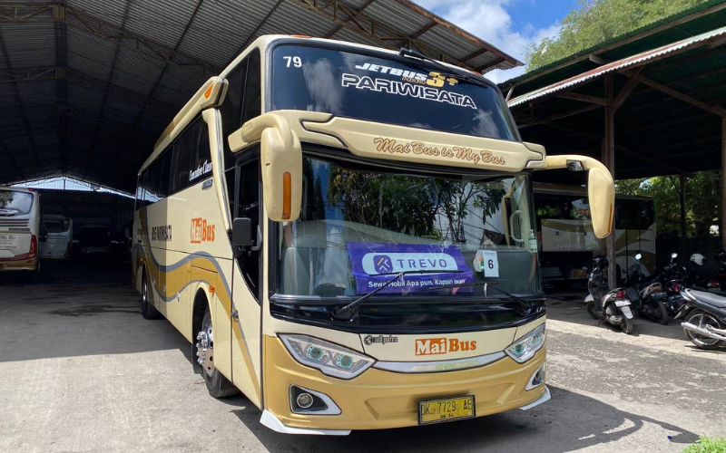 BUS 41 (3)