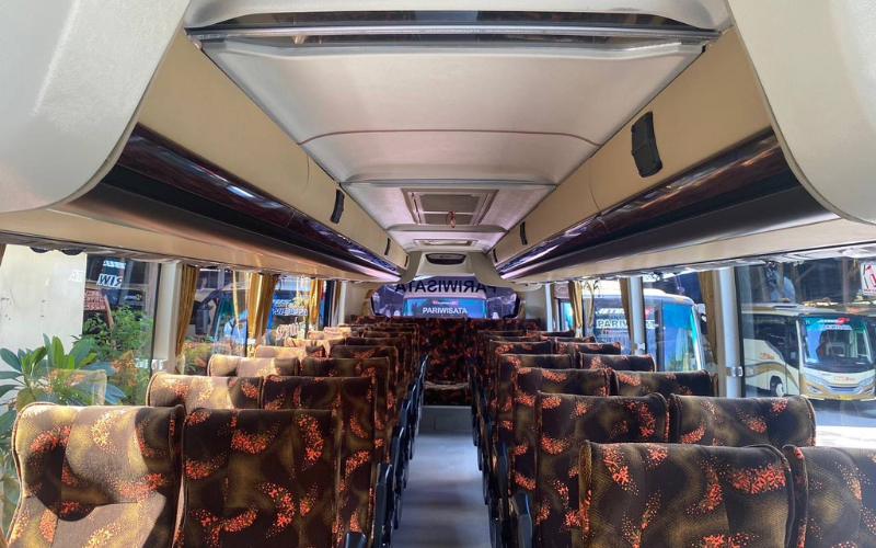 BUS 41