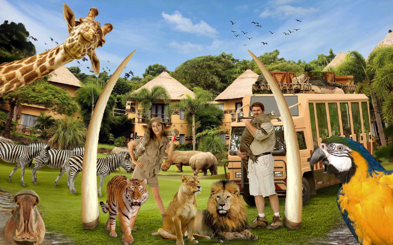 Bali Safari (2)