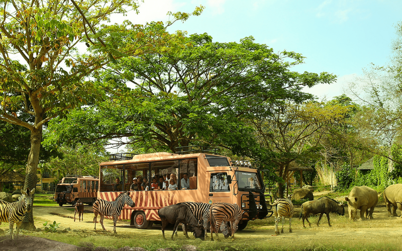 Bali Safari (5)