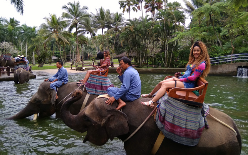 Bali elphant