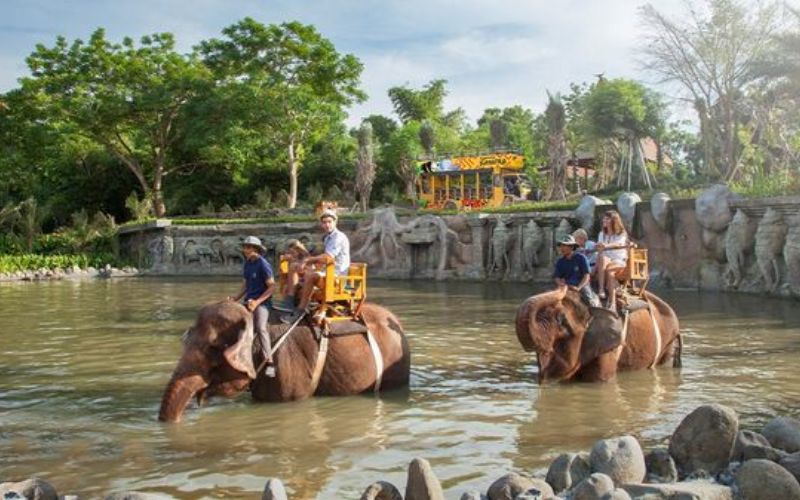 Bali zoo (4)