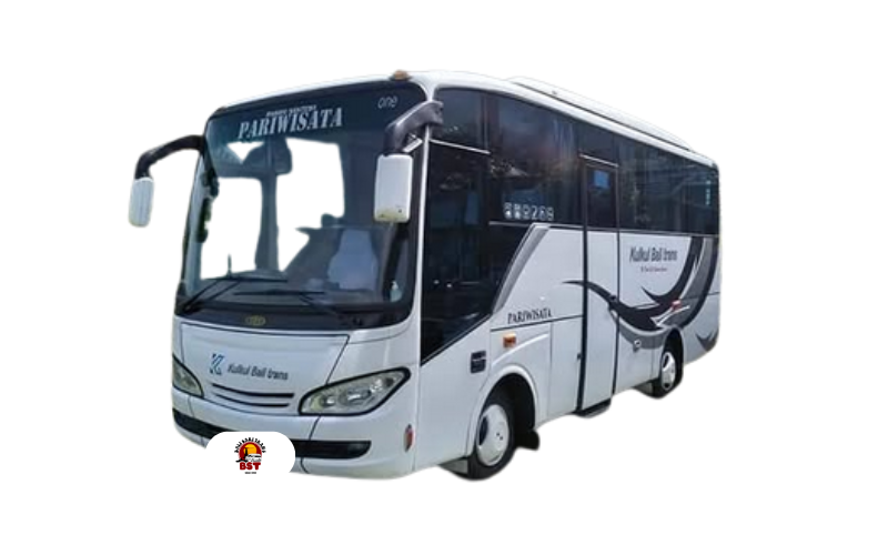 Bus 29 Seat