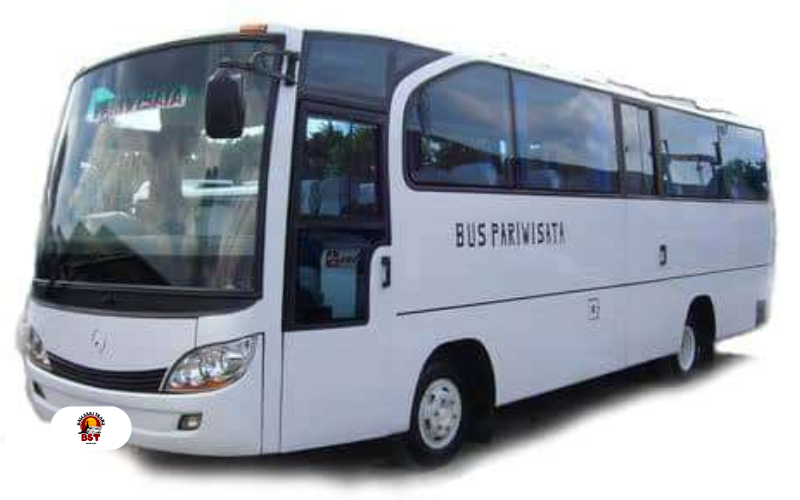 Bus 29 Seat