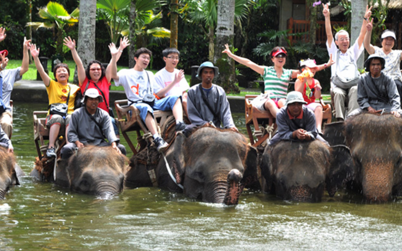 bali elephant (2)