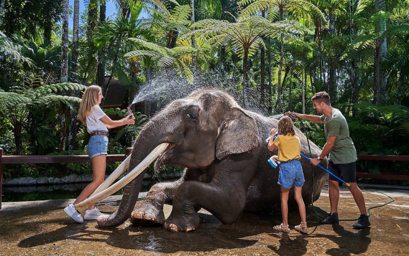 Bali Elephant Safari Park