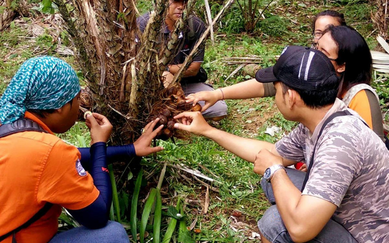salak argo