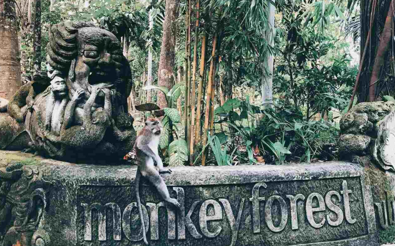ubud