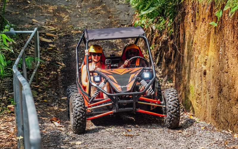 utv (2)