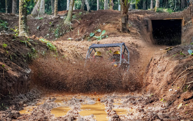 utv (5)