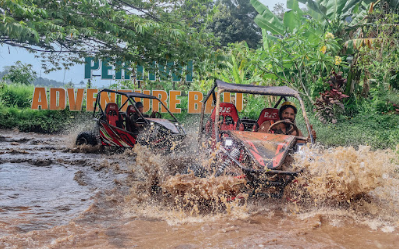 utv